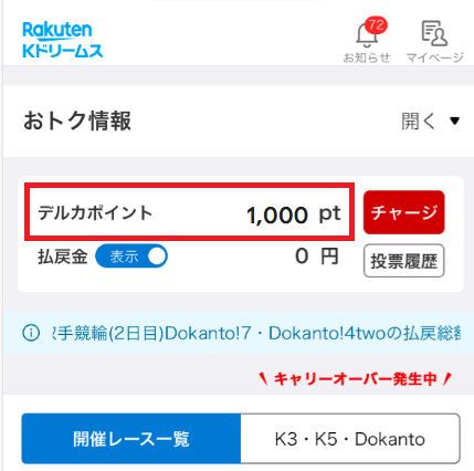 即時1,000円分の投票ポイント(デルカ)が反映されている