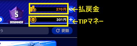 ティップスターの払戻金とTIPマネー