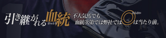 一撃万馬王の特徴